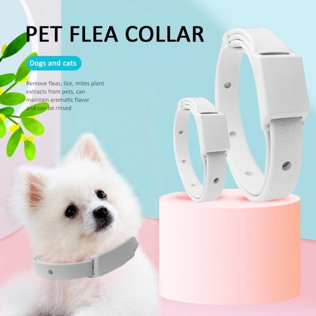 Adjustable Cat & Dog Collar Flea & Tick Prevention Pet Collar Pest Con 